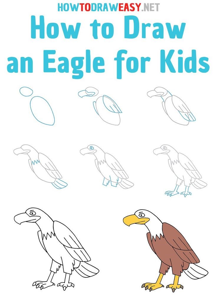 Eagle-Idee 2 zeichnen ideen