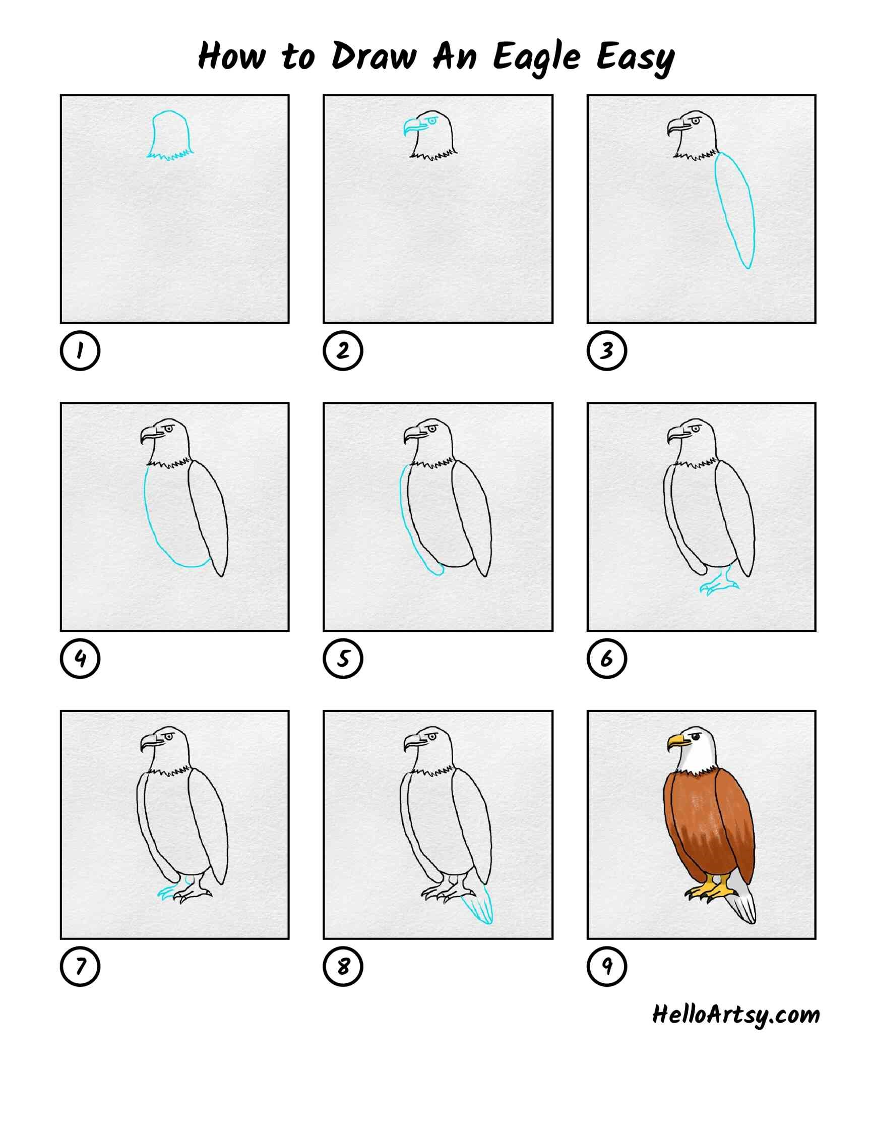 Eagle-Idee 3 zeichnen ideen