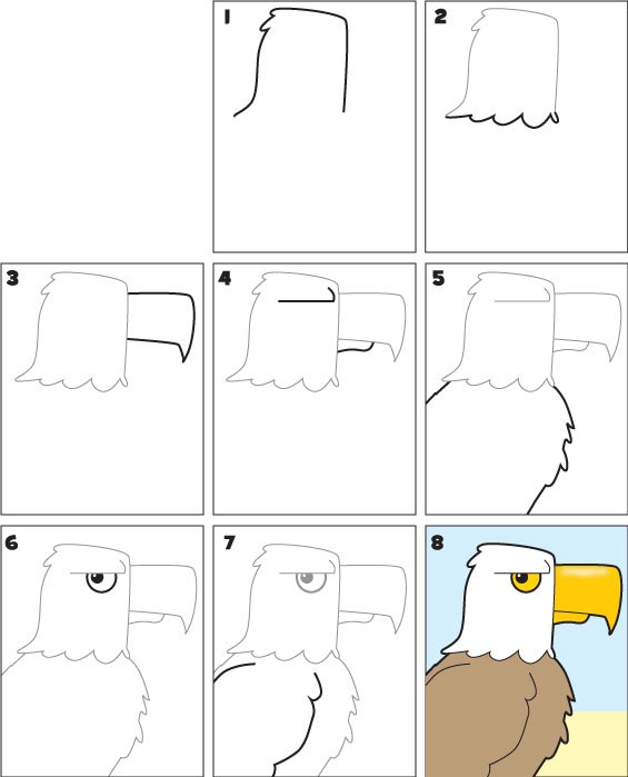 Eagle-Idee 6 zeichnen ideen