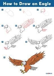 Eagle-Idee 8 zeichnen ideen