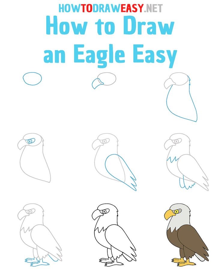 Ein einfacher Adler zeichnen ideen