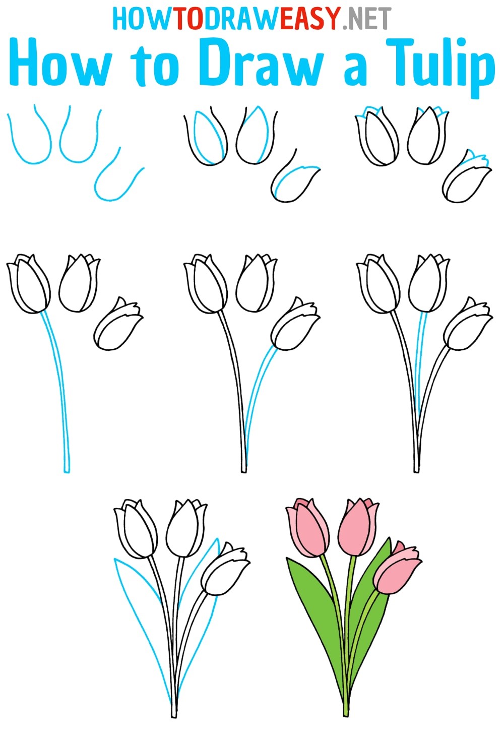 Tulpe zeichnen ideen