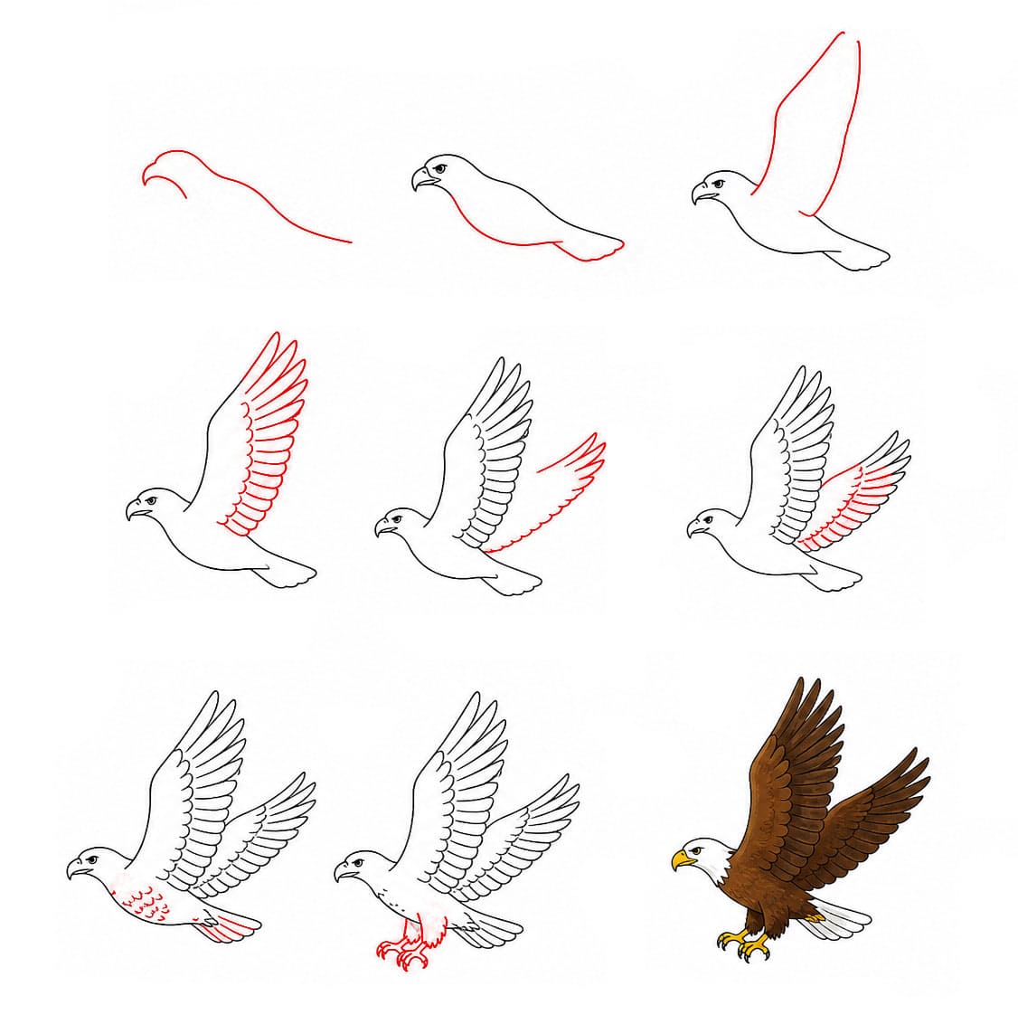 Gleitender Adler zeichnen ideen