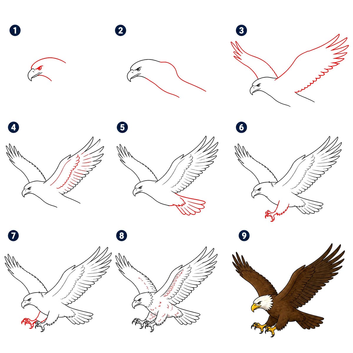 Kraftvoller Adler zeichnen ideen