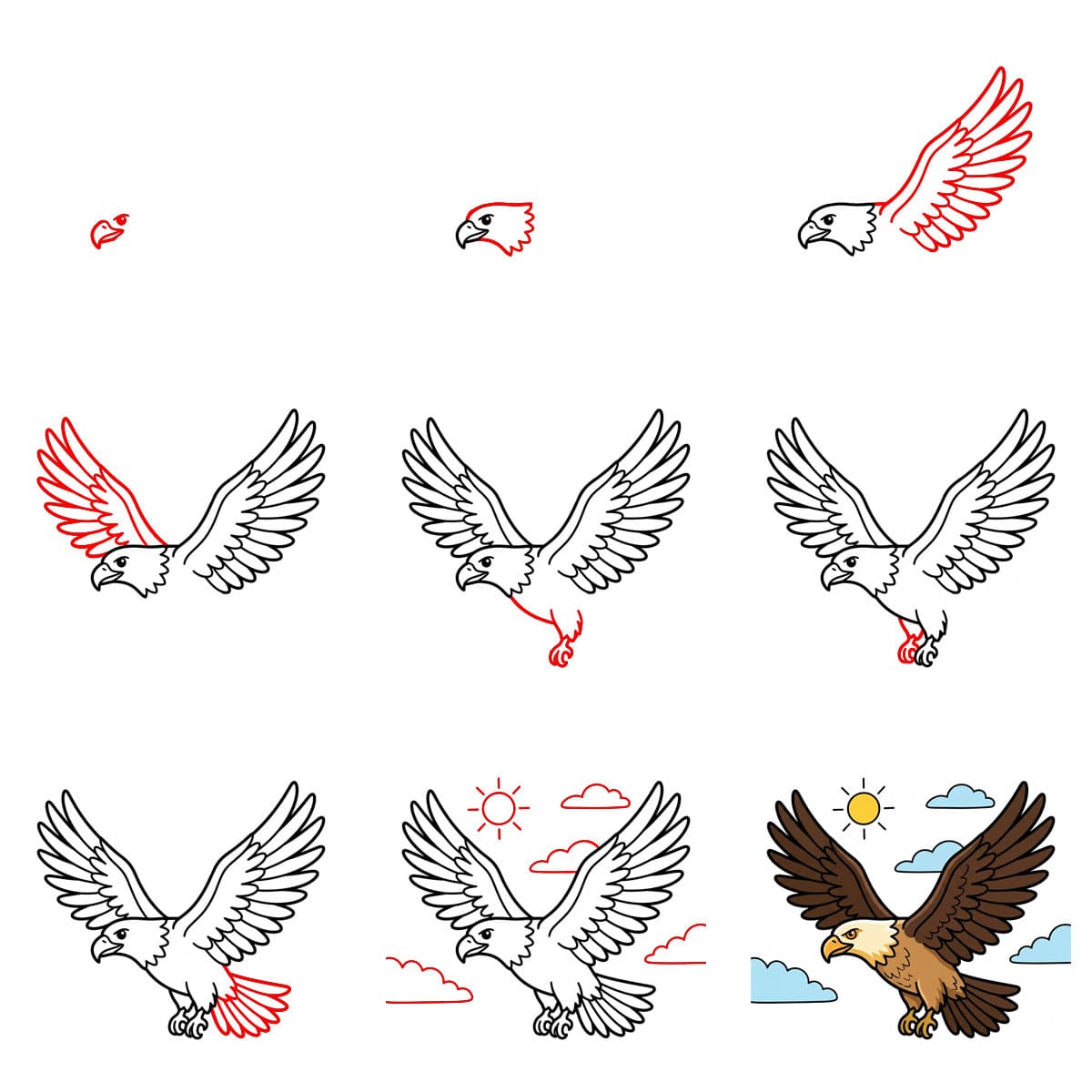 Majestätischer Adler zeichnen ideen