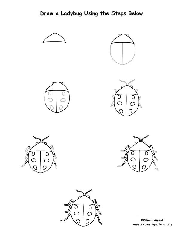 Marienkäfer-Idee 7 zeichnen ideen