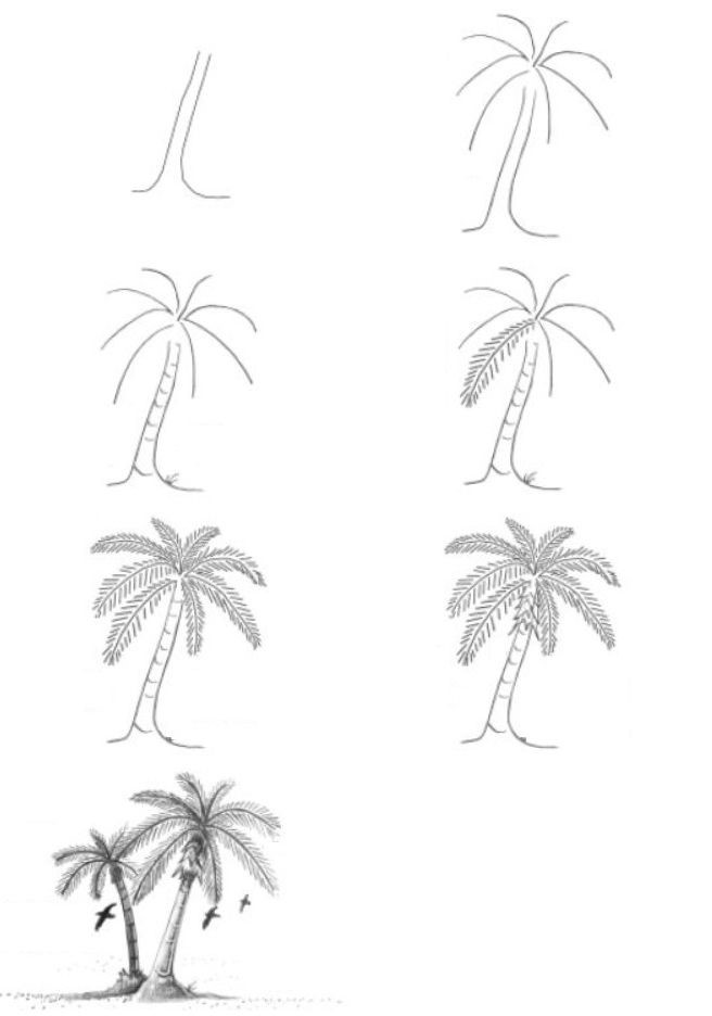 Palmen-Idee 5 zeichnen ideen
