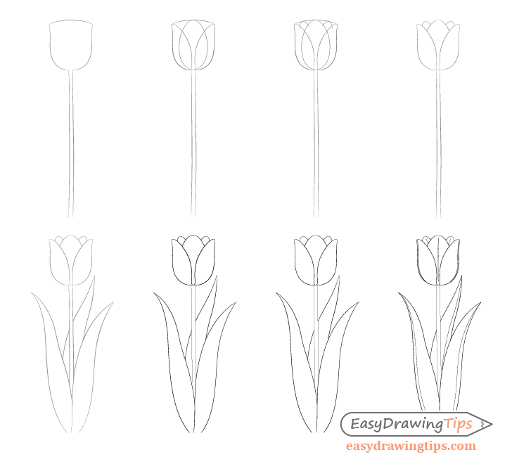 Tulpenidee 2 zeichnen ideen
