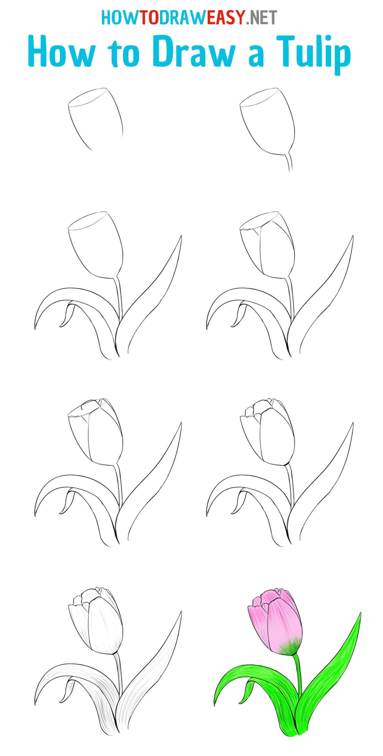 Tulpenidee 3 zeichnen ideen
