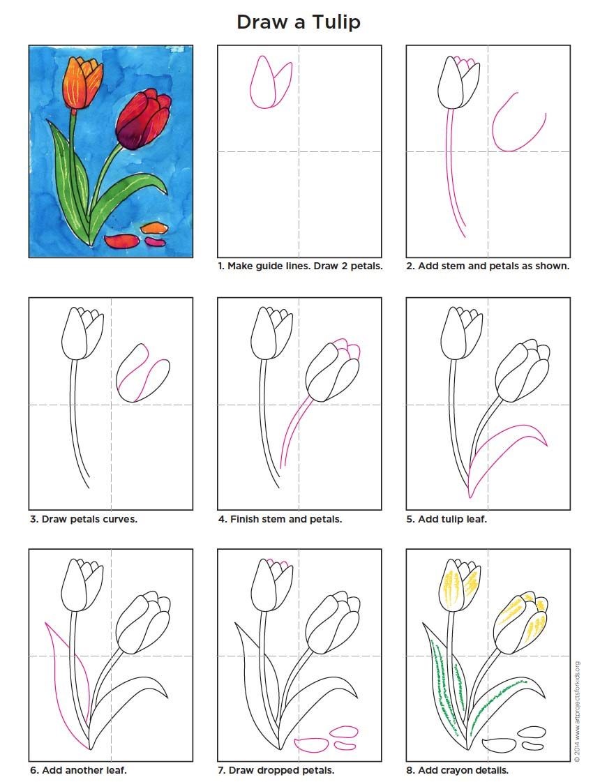 Tulpenidee 4 zeichnen ideen