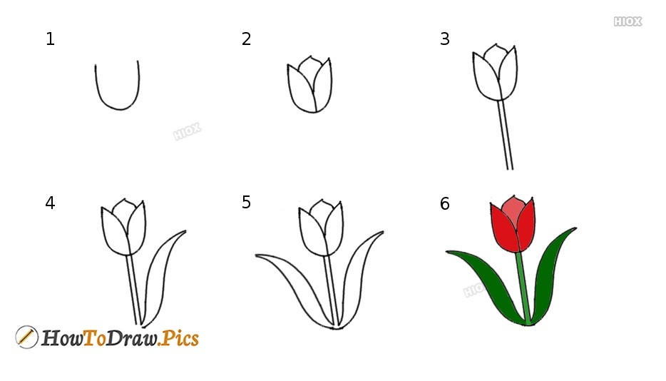 Tulpenidee 5 zeichnen ideen