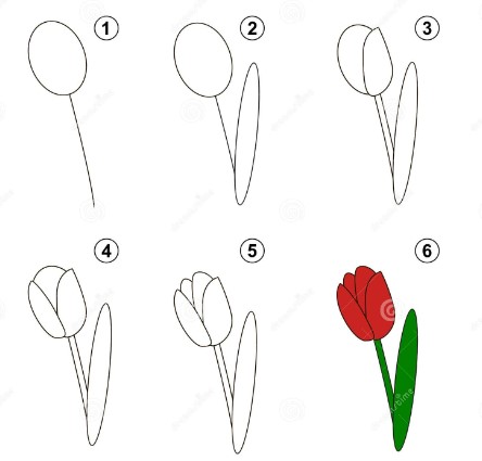 Tulpenidee 6 zeichnen ideen