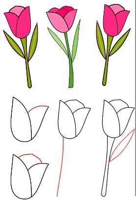 Tulpenidee 7 zeichnen ideen