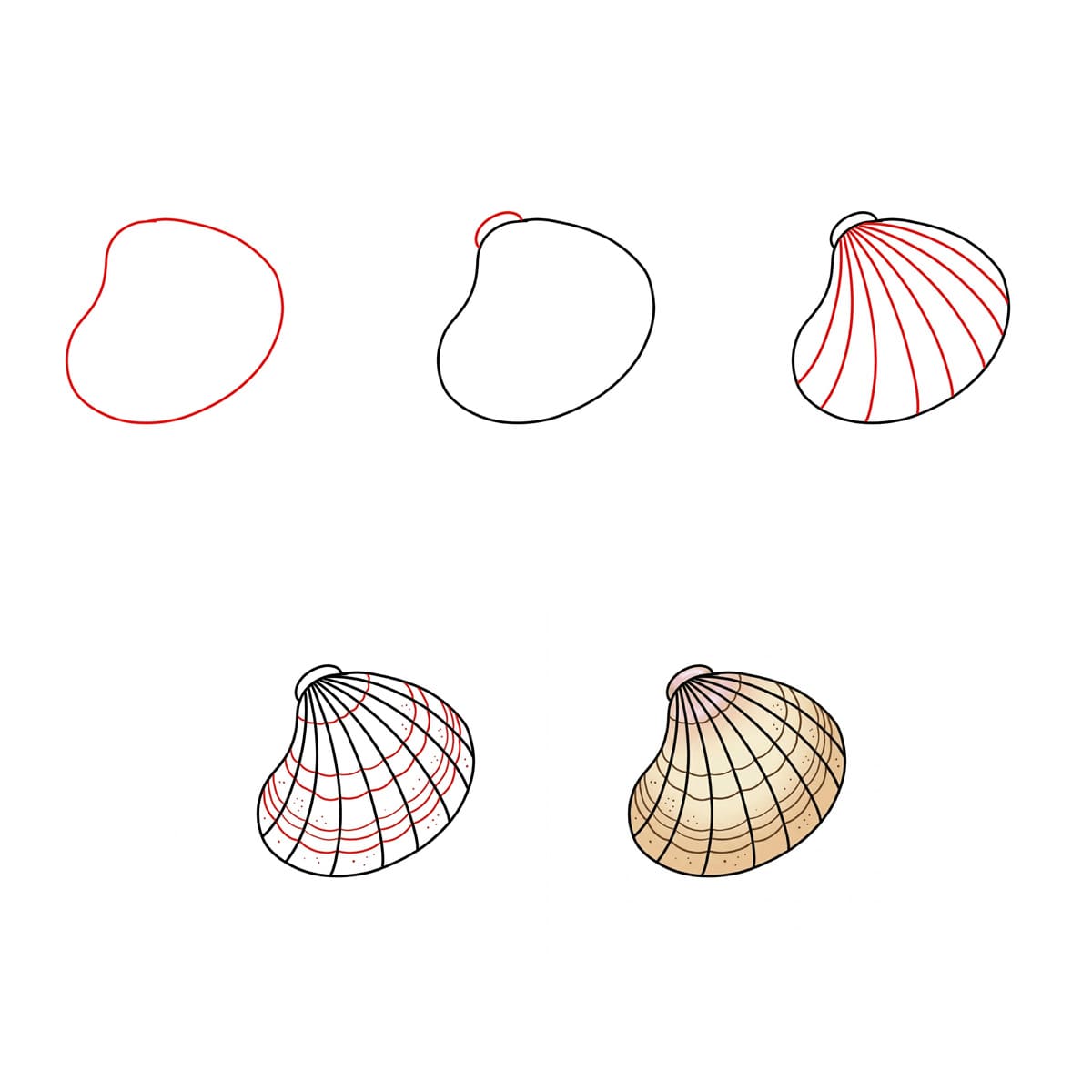 Einfache Fächermuschel zeichnen ideen