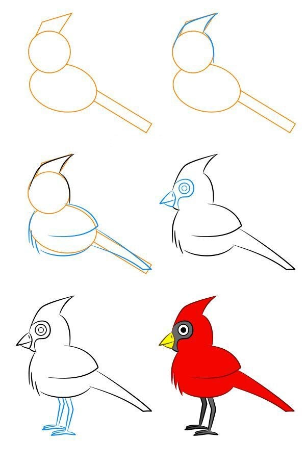 Kardinal zeichnen ideen