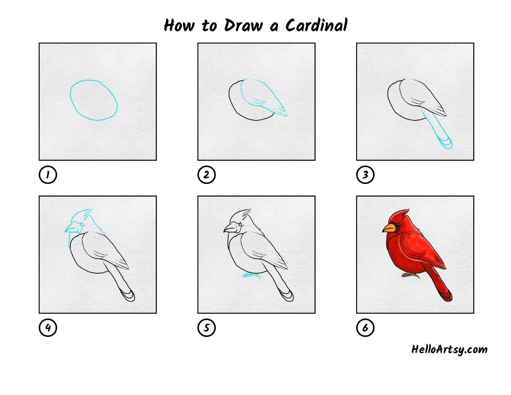 Kardinalidee 12 zeichnen ideen