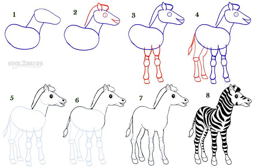 Zeichnen Lernen Zebra-Ideen (19)