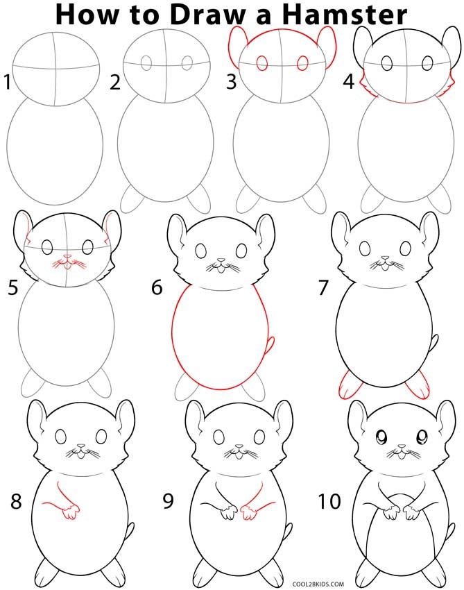 Idee für Hamster 6 zeichnen ideen
