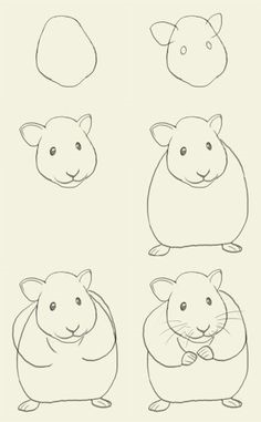Idee für Hamster 8 zeichnen ideen