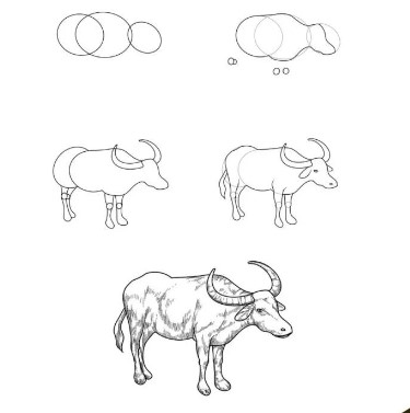 Asiatischer Wasserbüffel zeichnen ideen