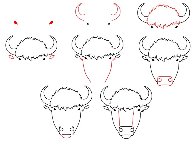 Büffelkopf 2 zeichnen ideen