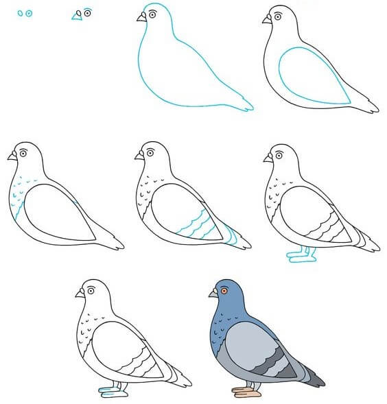 Blaue Taube zeichnen ideen