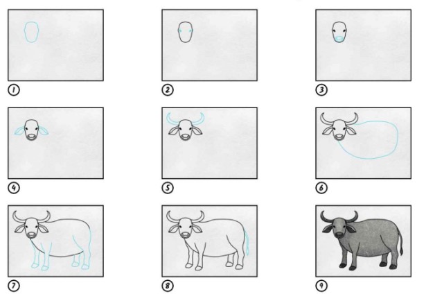 Grauer Büffel zeichnen ideen