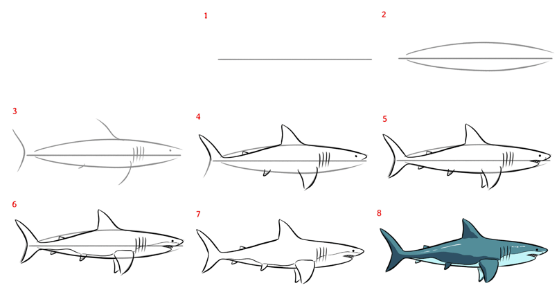 Killerhai zeichnen ideen