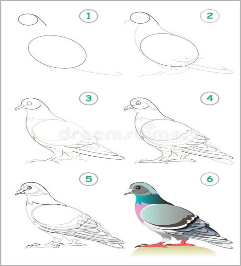 Schöne Taube zeichnen ideen