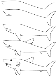Weißer Hai 2 zeichnen ideen
