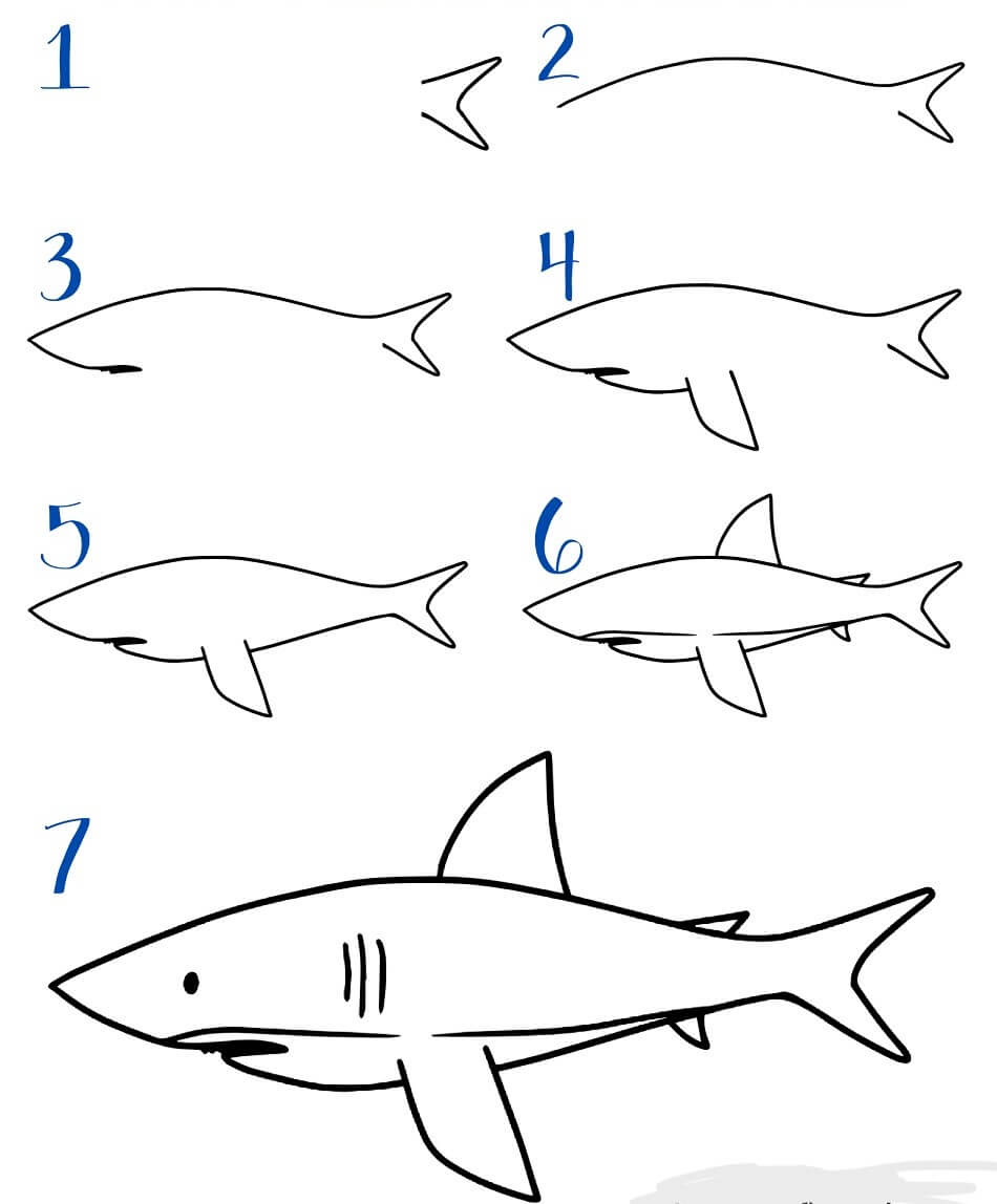 weißer Hai zeichnen ideen