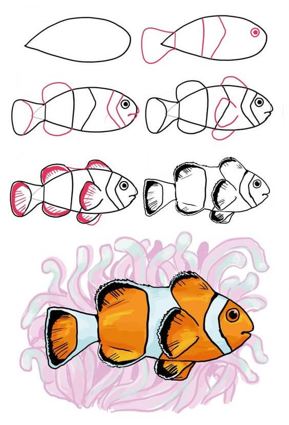 Clownfish 1 zeichnen ideen