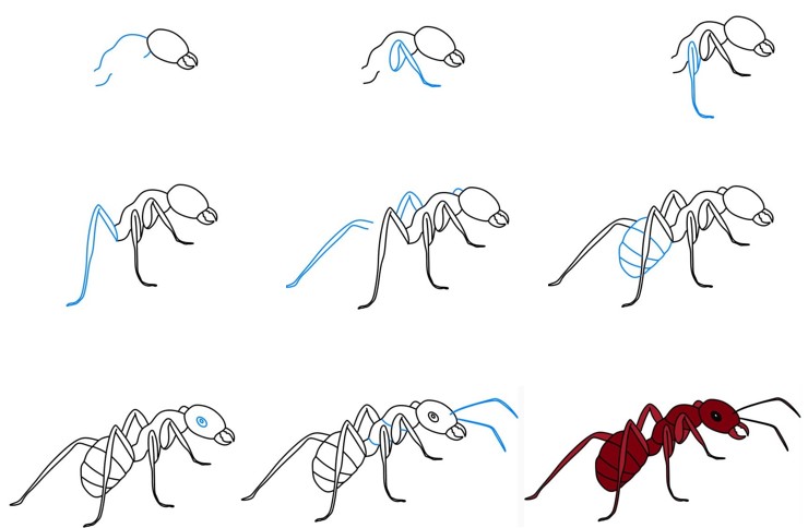 Ameisenidee (10) zeichnen ideen