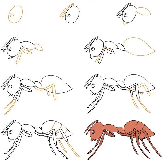 Zeichnen Lernen Ameisenidee (15)
