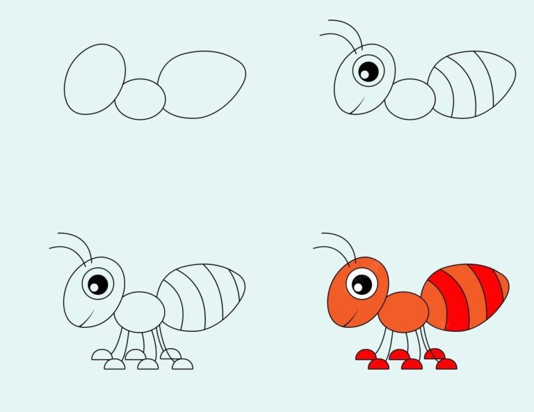 Zeichnen Lernen Ameisenidee (2)