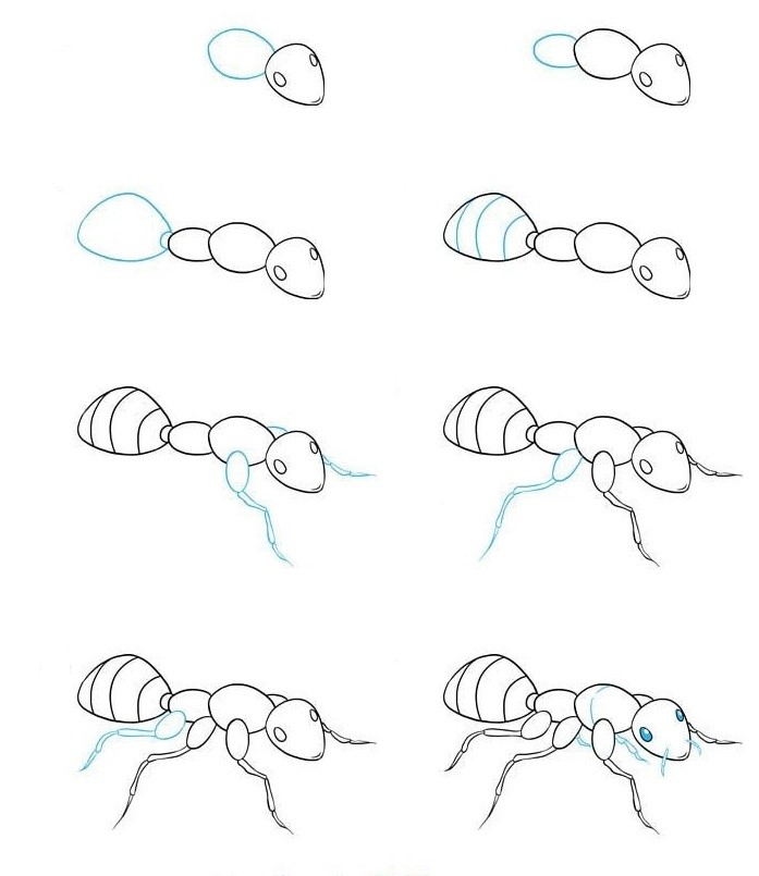 Zeichnen Lernen Ameisenidee (22)