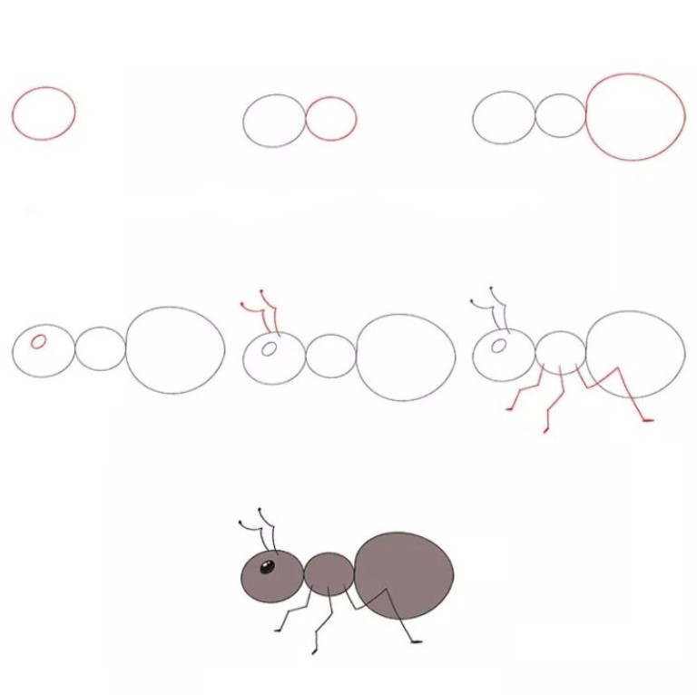 Zeichnen Lernen Ameisenidee (3)