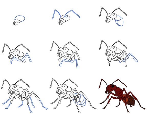 Ameisenidee (9) zeichnen ideen
