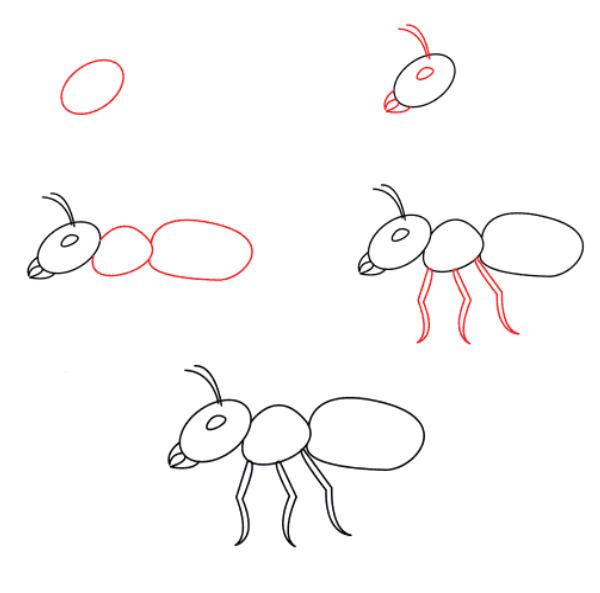 Zeichnen Lernen Arbeiterameisen (2)