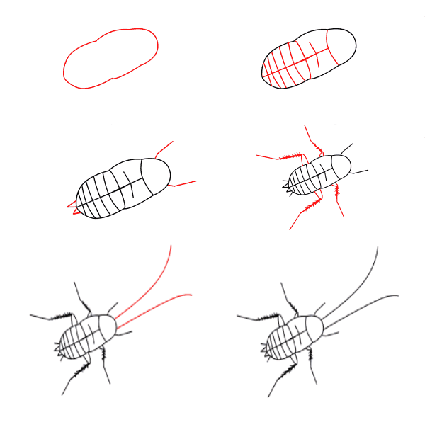Baby-Kakerlake zeichnen ideen