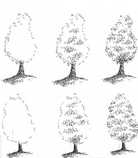 Zeichnen Lernen Baumidee (4)
