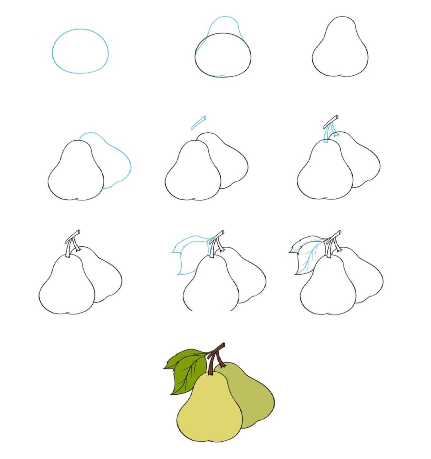 Zeichnen Lernen Birnen-Idee (4)