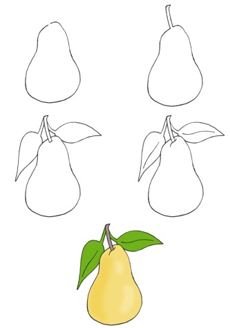 Zeichnen Lernen Birnen-Idee (6)