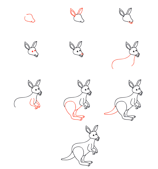 Zeichnen Lernen Cartoon-Känguru
