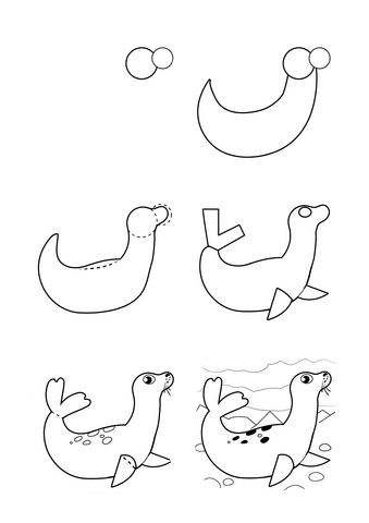 Drawing a simple seal zeichnen ideen