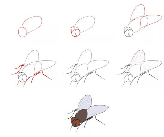 Eine Fliegenidee (12) zeichnen ideen