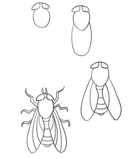 Zeichnen Lernen Eine Fliegenidee (8)