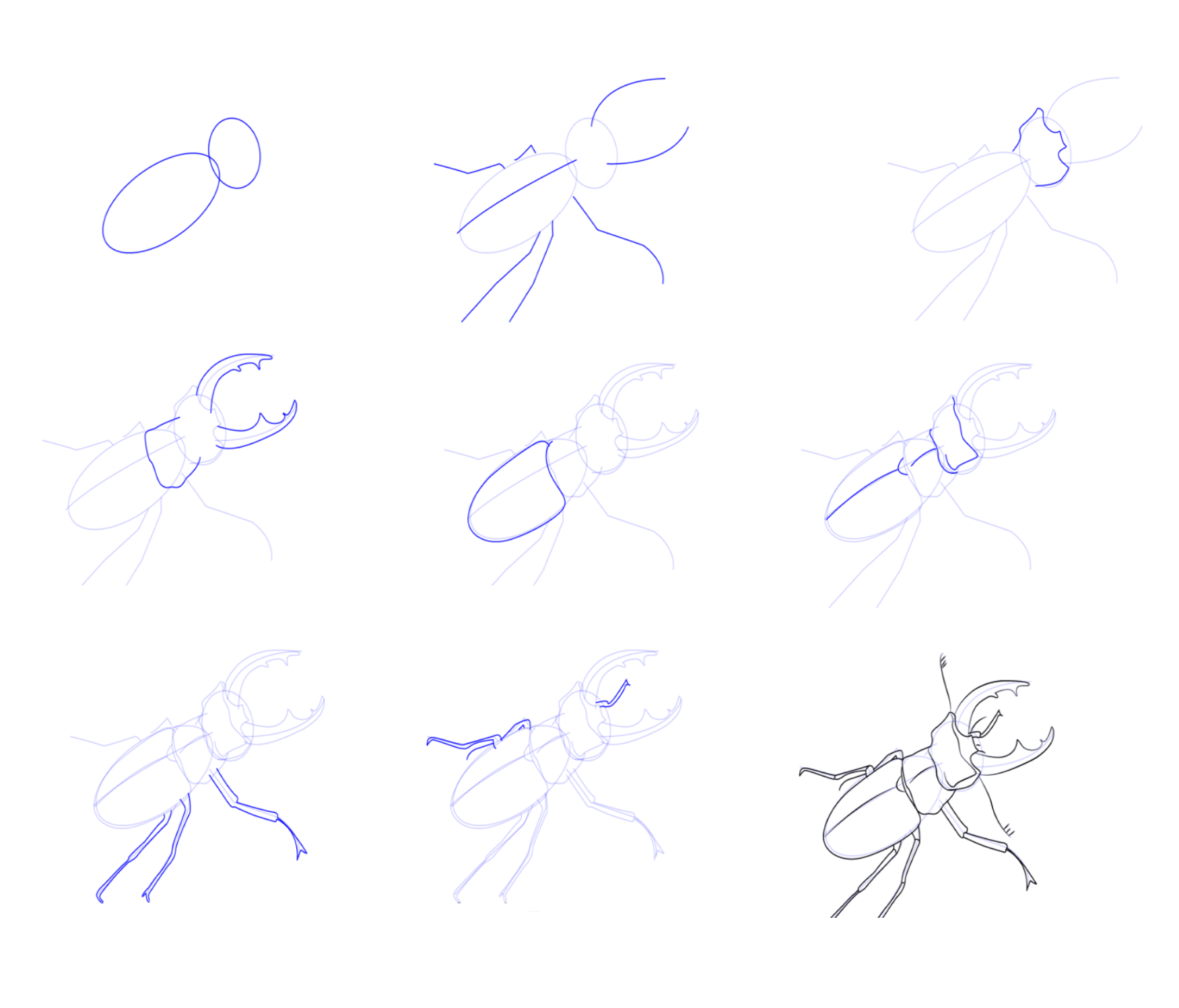 Eine Käferidee (1) zeichnen ideen