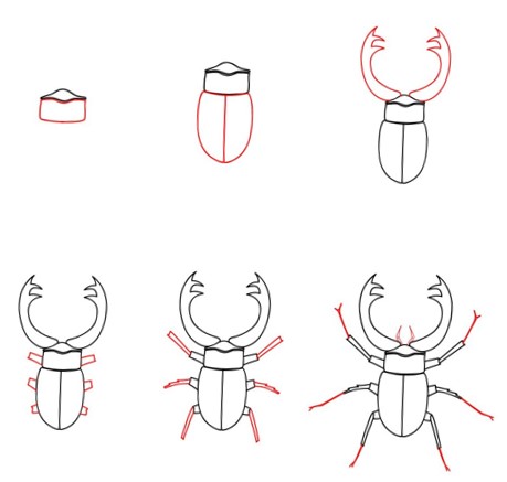 Eine Käferidee (10) zeichnen ideen