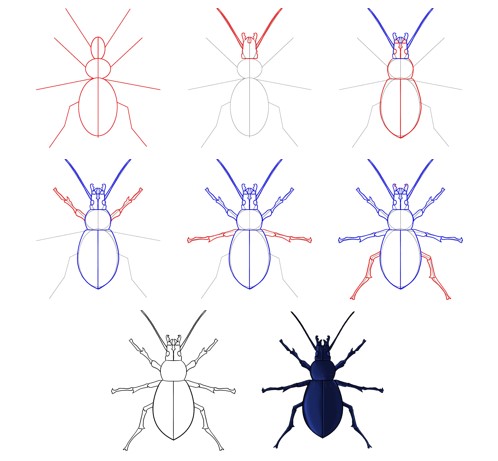 Eine Käferidee (11) zeichnen ideen
